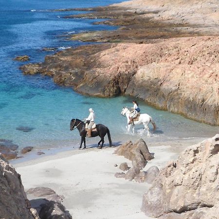 Bahia Bustamante Lodge Kültér fotó
