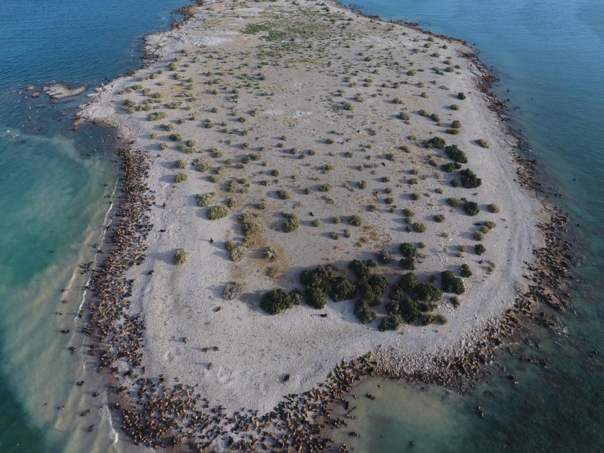 Bahia Bustamante Lodge Kültér fotó